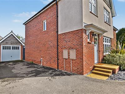 Picture 21